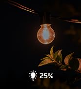 DEWENWILS String Lights