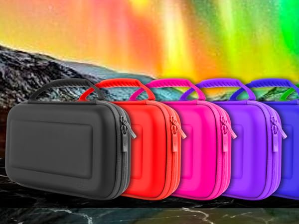 Nintendo Switch Cases