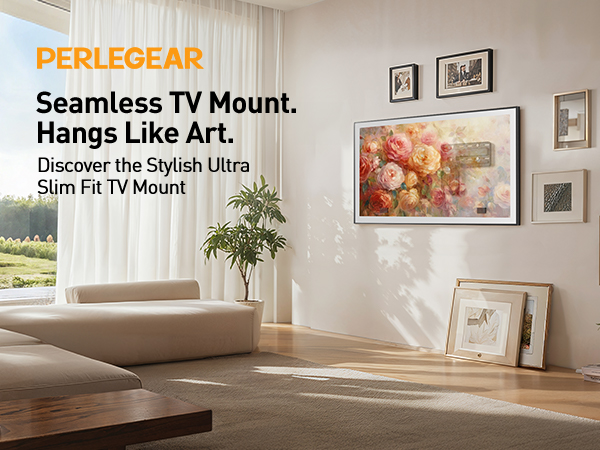 slim tv mount