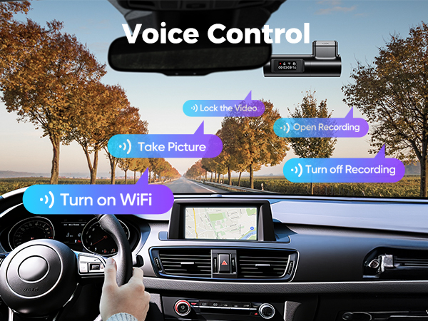dash cameras for cars