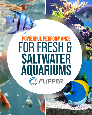 flipper deepsee magnetic aquarium magnifying glass underwater viewer coral lens reef freshwater