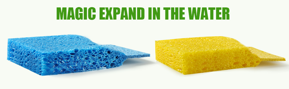 COMPRESSED SPONGES