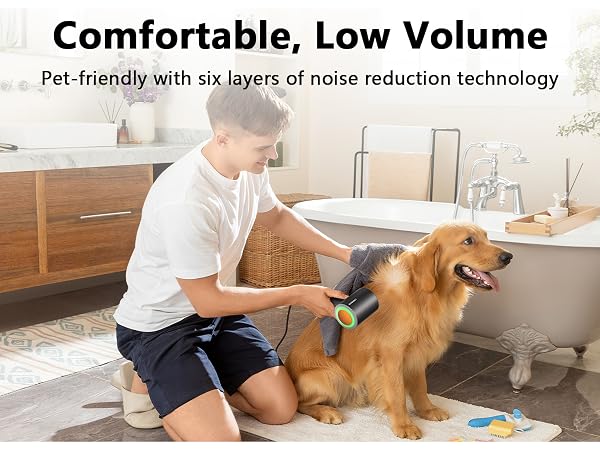 blow hair dryer