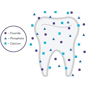 Fluoride, Calcium, Phosphate on tooth