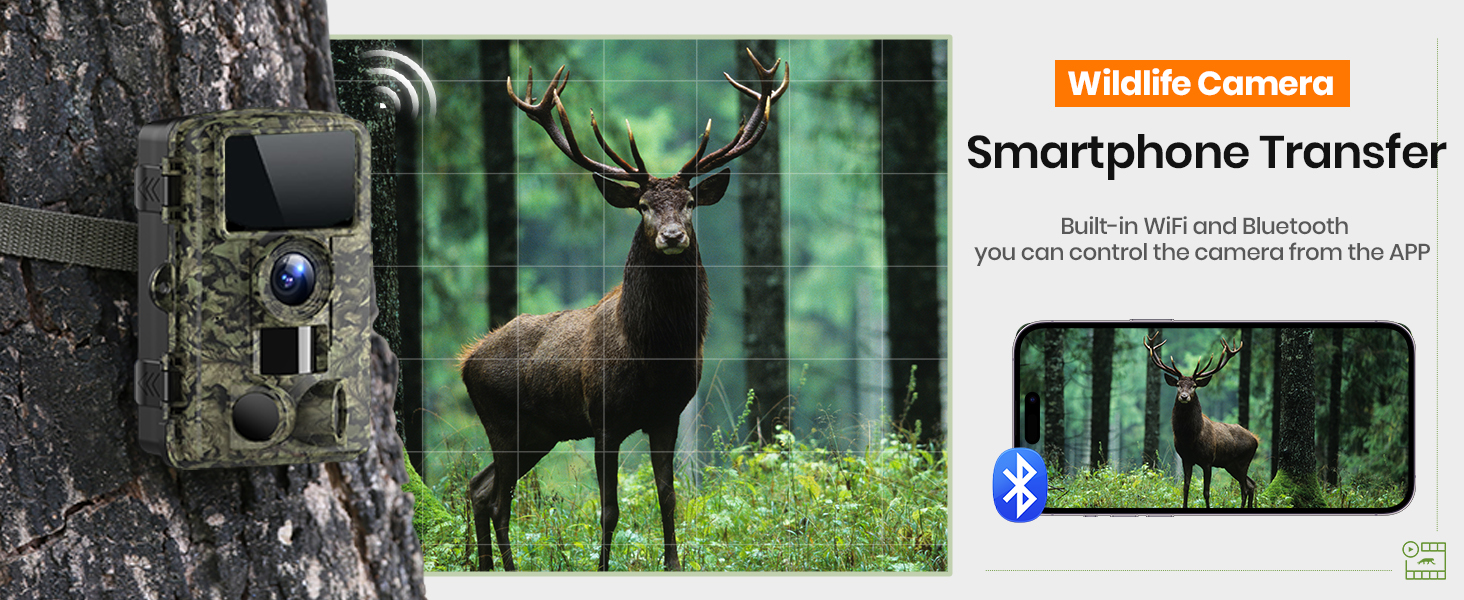 trail camera night vision