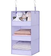 GRANNY SAYS 3-Shelf Hanging Closet Organizer, Purple Closet Storage Hanging Shelves