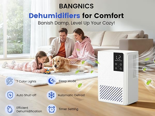 dehumidifier