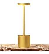 TBBGA LED Cordless Table Lamps, Portable Rechargeable Battery Operated Lamp, Modern Metal 2 Level...