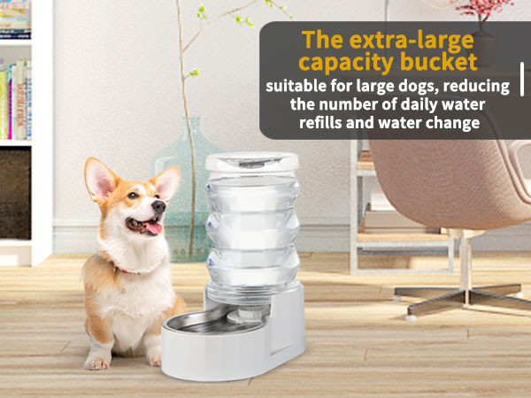 pet water feeder