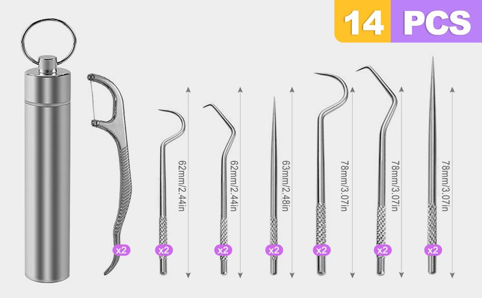 Stainless Steel Toothpick Set