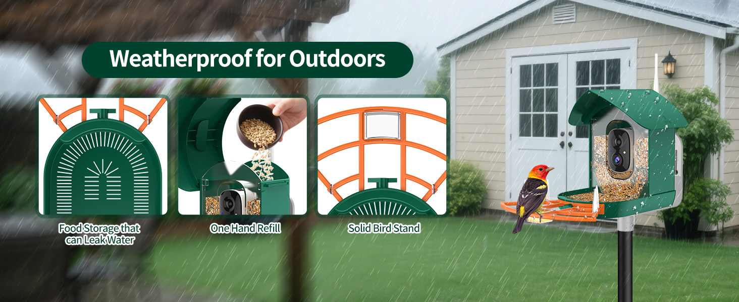 Multiple mounting options