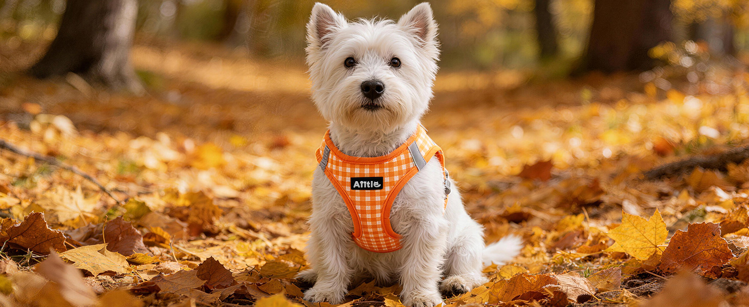AIITLE Step-in Dog Vest Harness and Leash Set - Summer Mesh Plaid Vest Harness