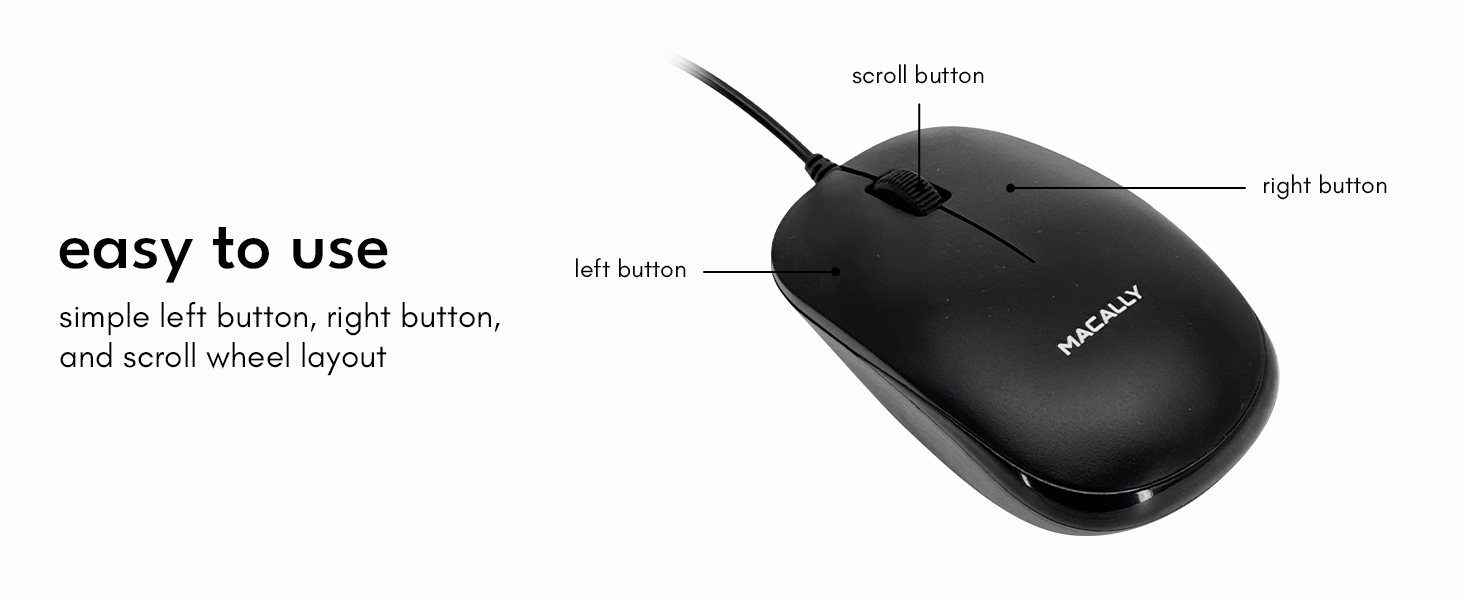 mouse