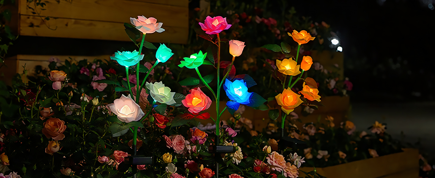 pathway lights
