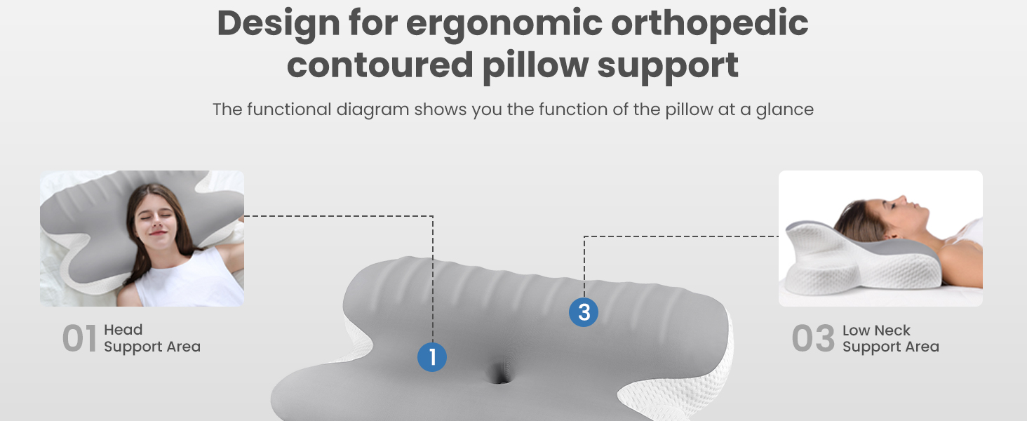 Ergonomic orthopedic pillow diagram showing contoured support for head, neck, and spine. Labeled sections indicate different support areas for optimal sleeping posture.