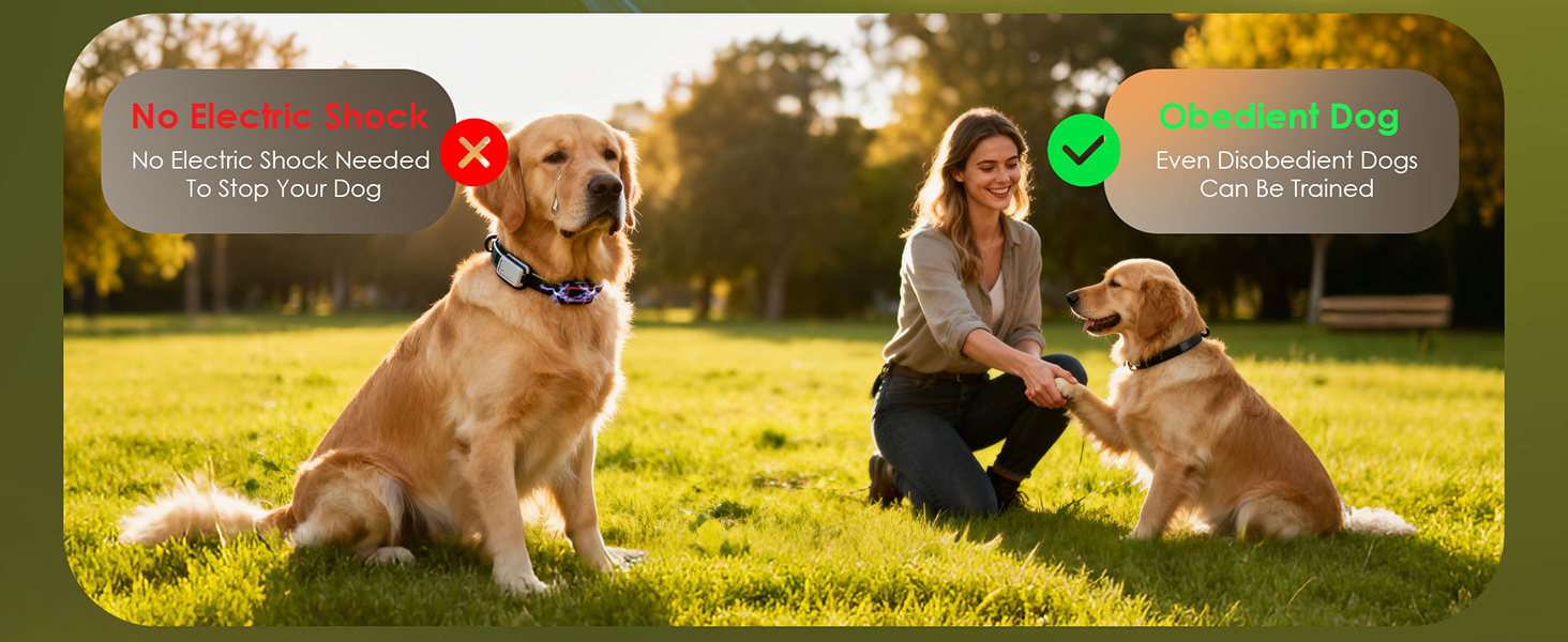 anti barking device for dogs