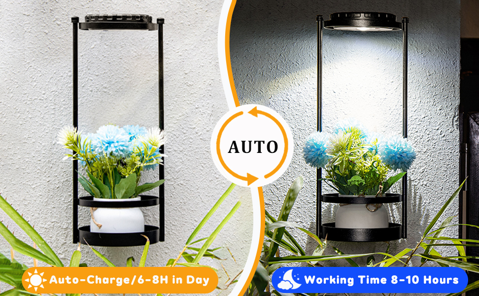 Solar Lights Outdoor Decor