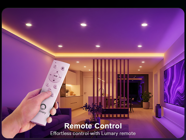 BT Remote Control
