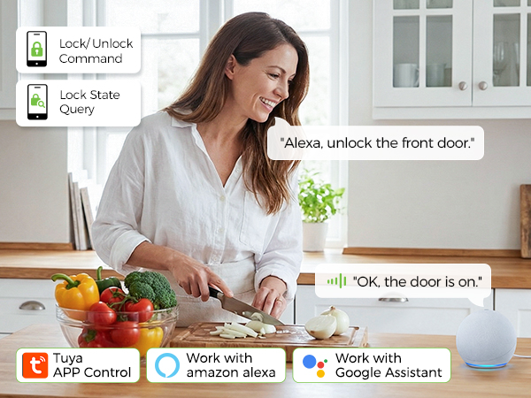 voice control