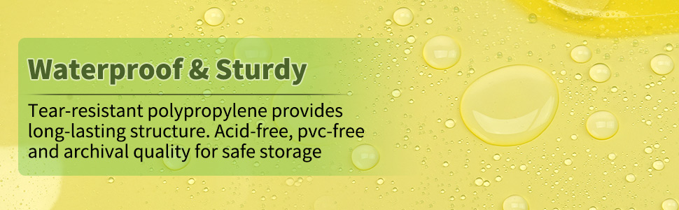 clear binder pockets