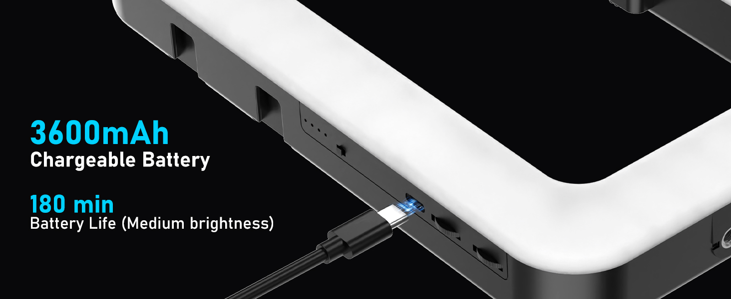 Smartphone Video Rig with Light