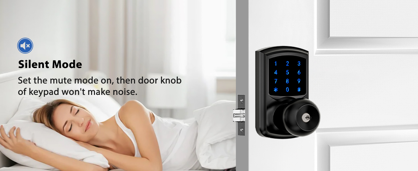 Keyless entry door lock