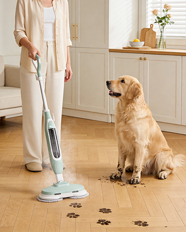 Steam Mop