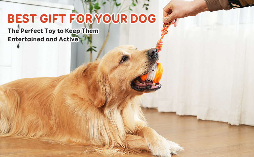cognitive dog toys