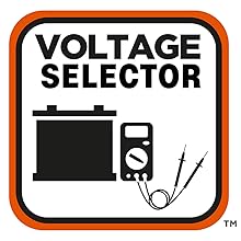Voltage
