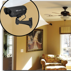 fake camera watching your home