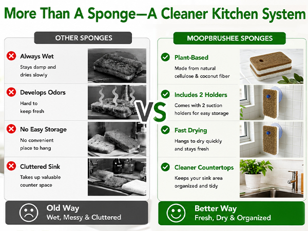 dish sponges