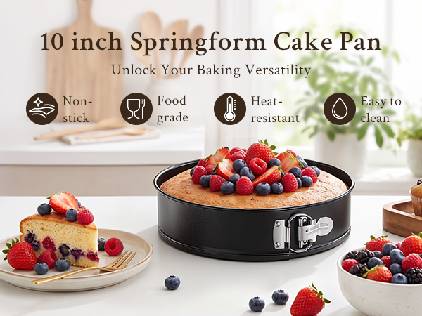 10 inch springform pan