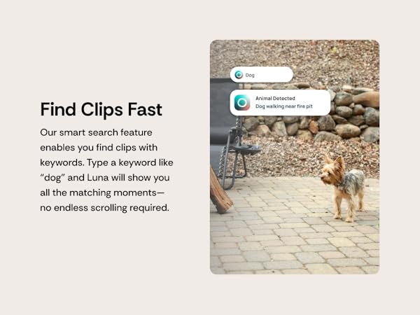 Magnetic Camera Advanced AI Motion Detection, Pet/Dog/Baby Cámara with Phone app