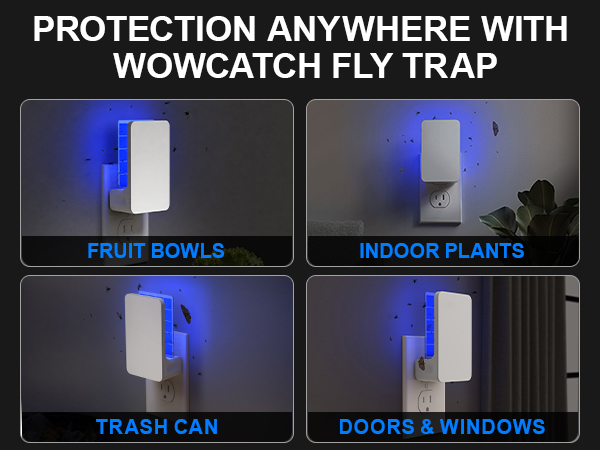 fly trap