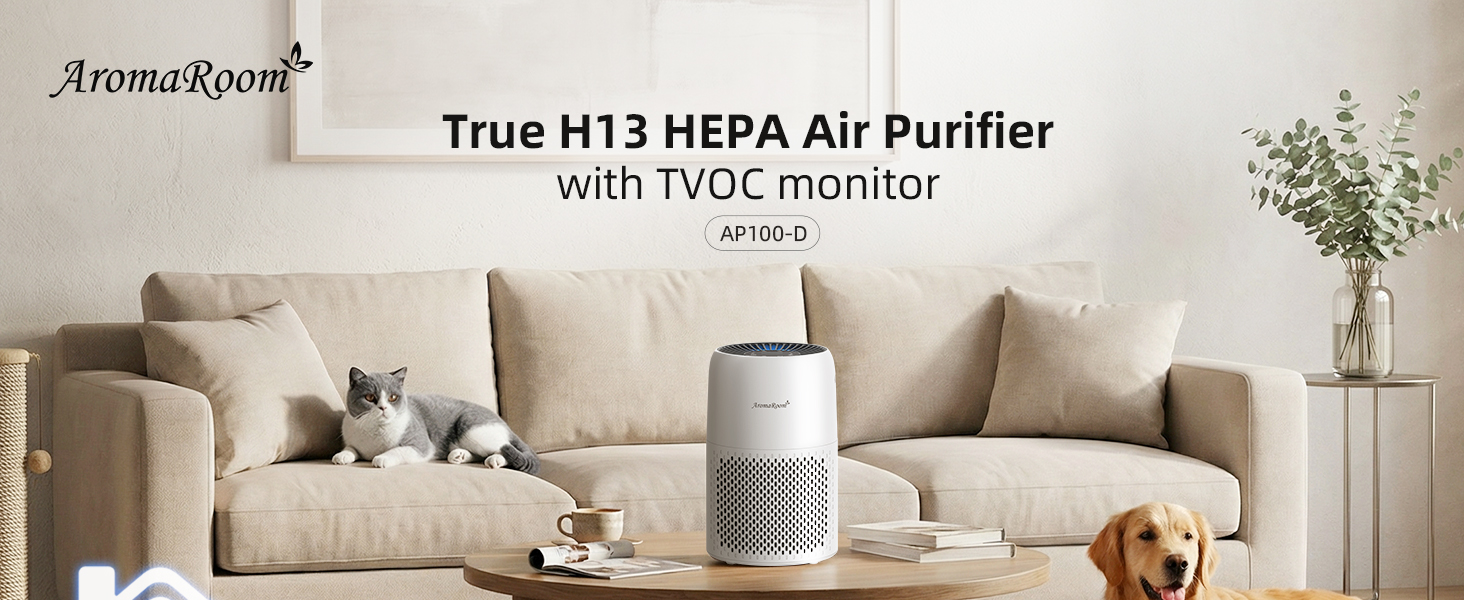 AP100-D with TVOC monitor