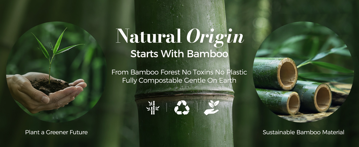 Bamboo toothbrush