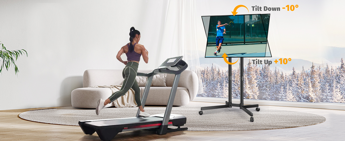 Mobile TV Stand