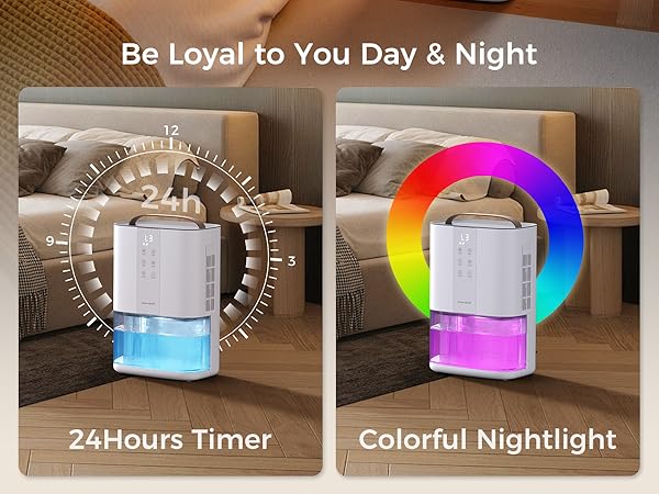 Dehumidifiers for Home