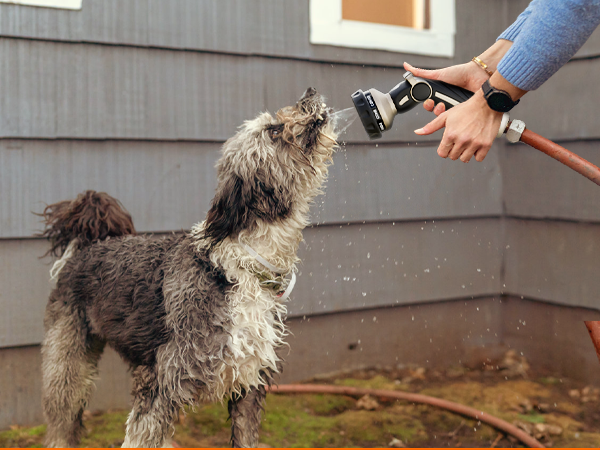 Pet Showering