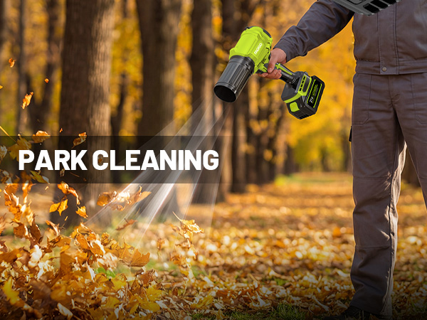 Cordless Leaf Blower