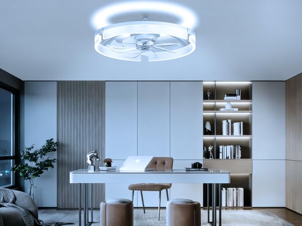 living room ceiling fan