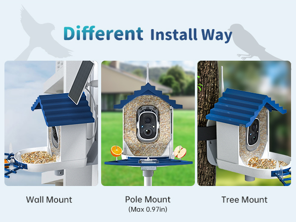bird feeder camera for solar panel