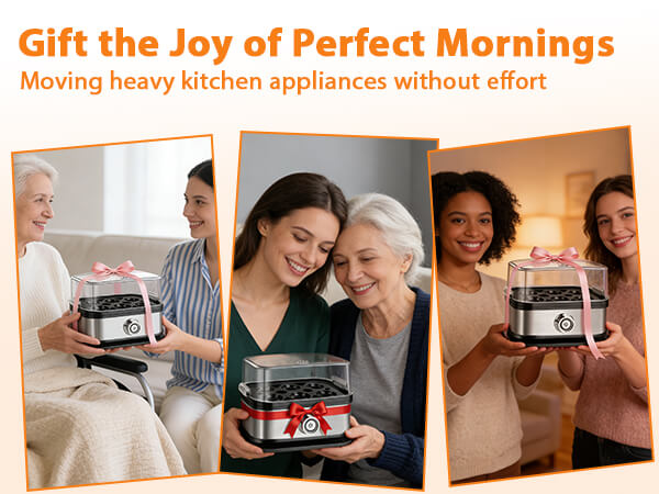 rapid egg cooker 6 egg capacity