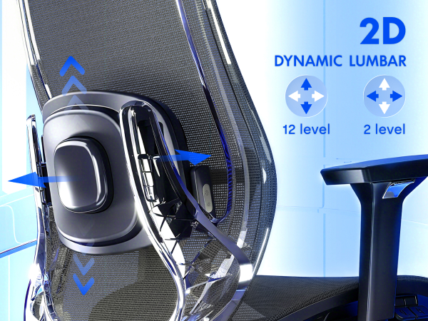 2D Lumbar Support