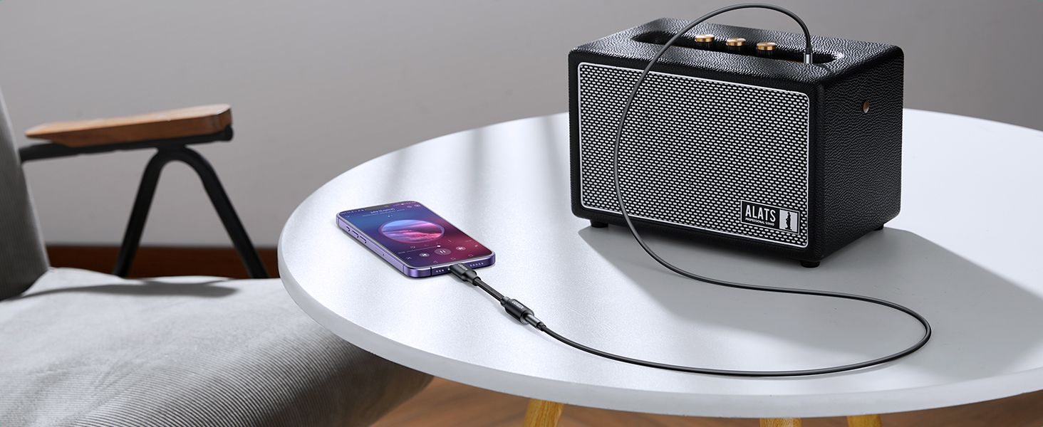 iPhone to Speaker/Amp