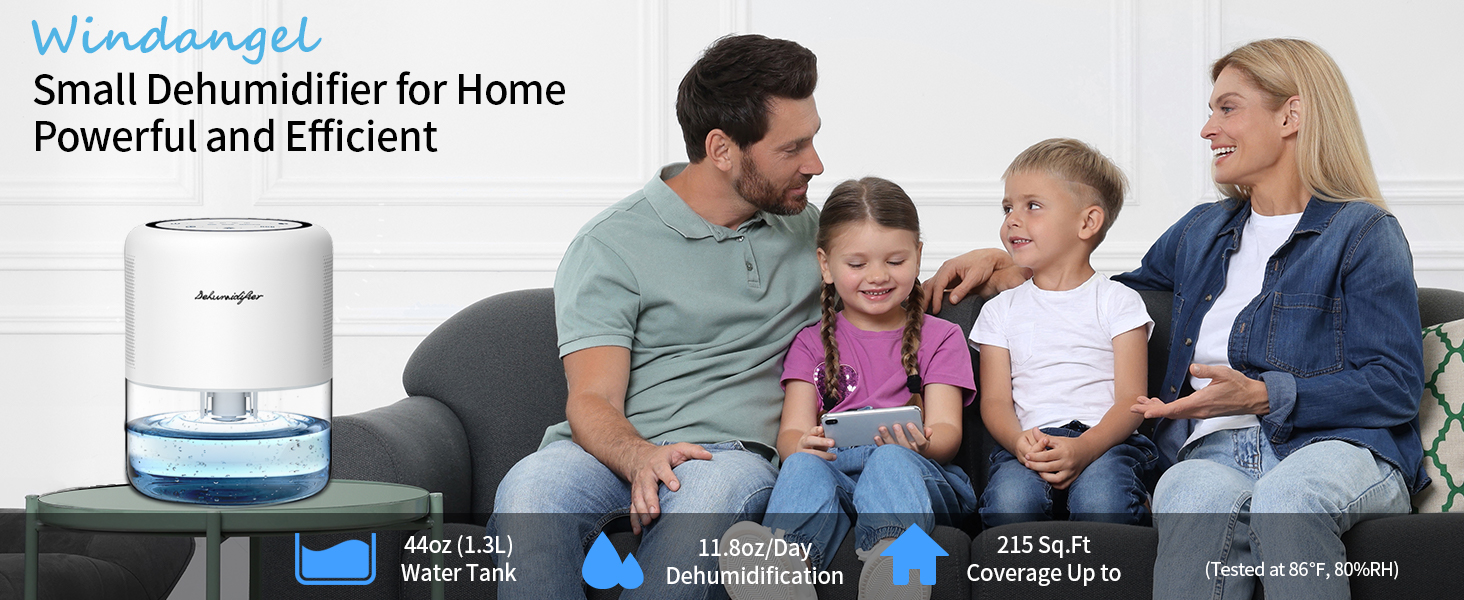 Small Dehumidifier for Home