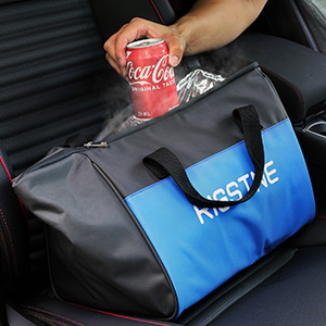 electric cooler for car