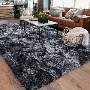 living room rug