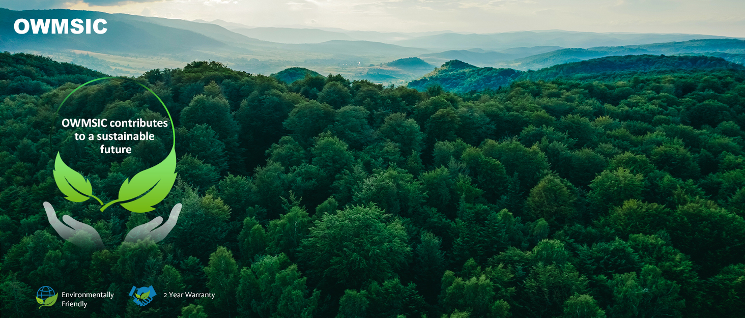 OWMSIC wireless earbuds