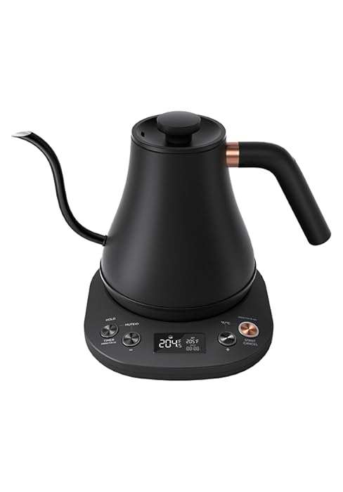 Mecity Electric Kettle